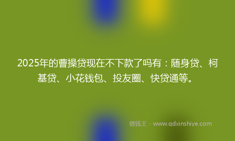 2025年的曹操贷现在不下款了吗有：随身贷、柯基贷、小花钱包、投友圈、快贷通等。