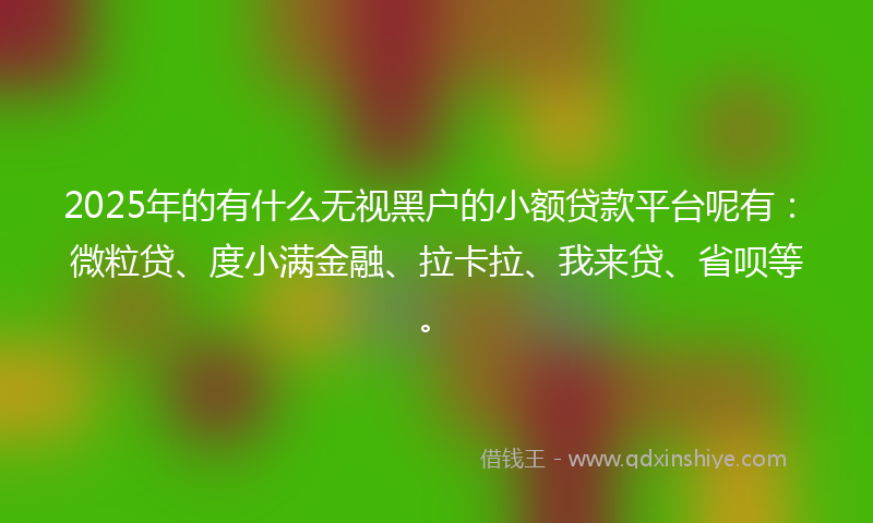 2025年的有什么无视黑户的小额贷款平台呢有：微粒贷、度小满金融、拉卡拉、我来贷、省呗等。