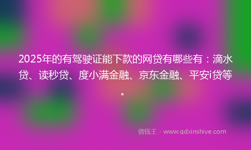 2025年的有驾驶证能下款的网贷有哪些有：滴水贷、读秒贷、度小满金融、京东金融、平安i贷等。