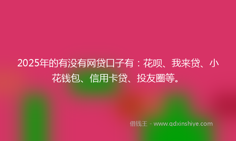 2025年的有没有网贷口子有：花呗、我来贷、小花钱包、信用卡贷、投友圈等。