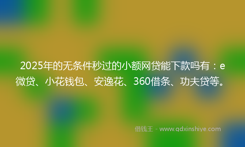 2025年的无条件秒过的小额网贷能下款吗有：e微贷、小花钱包、安逸花、360借条、功夫贷等。