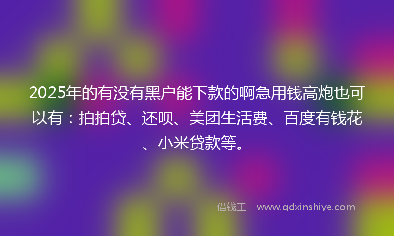 2025年的有没有黑户能下款的啊急用钱高炮也可以有：拍拍贷、还呗、美团生活费、百度有钱花、小米贷款等。