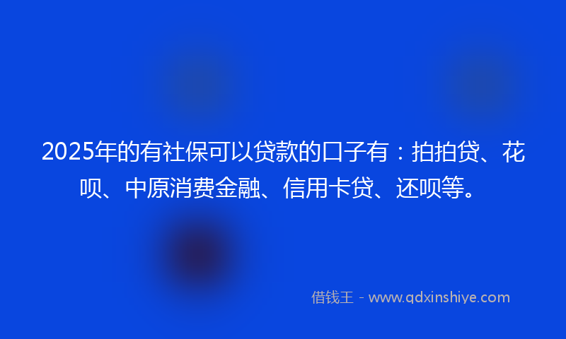 2025年的有社保可以贷款的口子有：拍拍贷、花呗、中原消费金融、信用卡贷、还呗等。