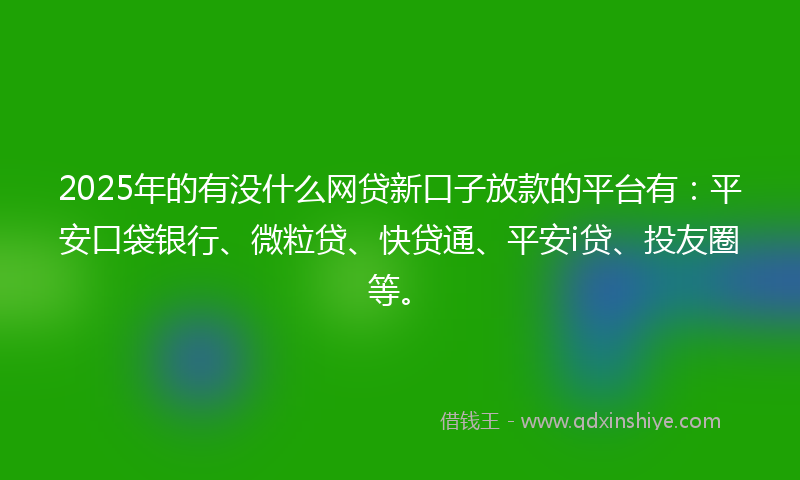 2025年的有没什么网贷新口子放款的平台有：平安口袋银行、微粒贷、快贷通、平安i贷、投友圈等。