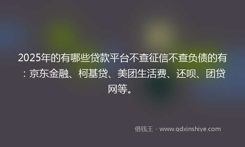 2025年的有哪些贷款平台不查征信不查负债的有：京东金融、柯基贷、美团生活费、还呗、团贷网等。