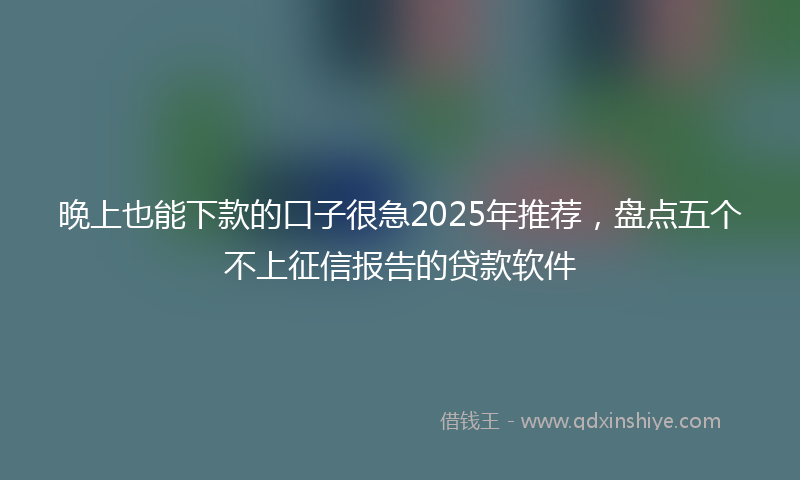 晚上也能下款的口子很急2025年推荐，盘点五个不上征信报告的贷款软件