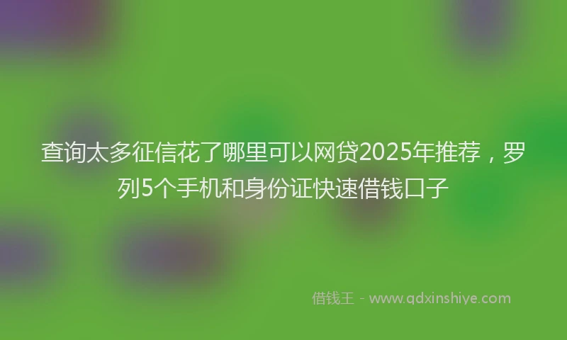 查询太多征信花了哪里可以网贷2025年推荐，罗列5个手机和身份证快速借钱口子
