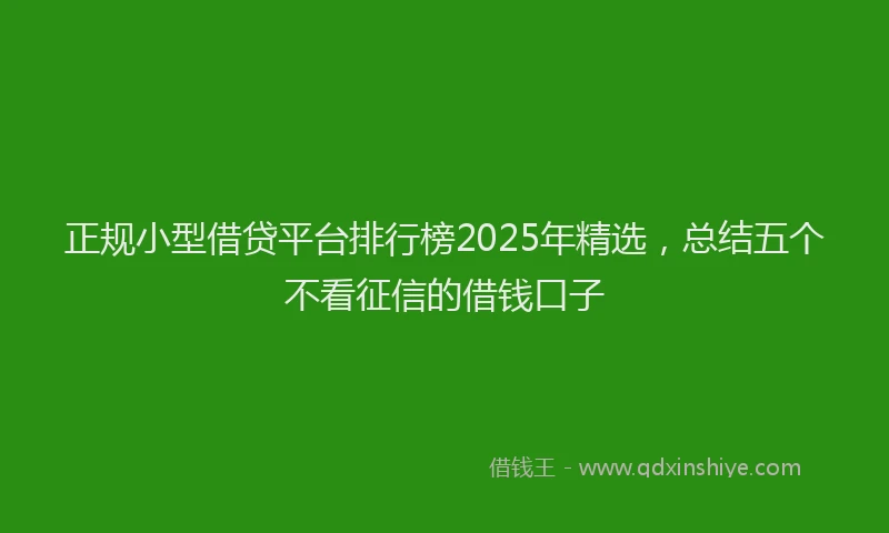 正规小型借贷平台排行榜2025年精选，总结五个不看征信的借钱口子