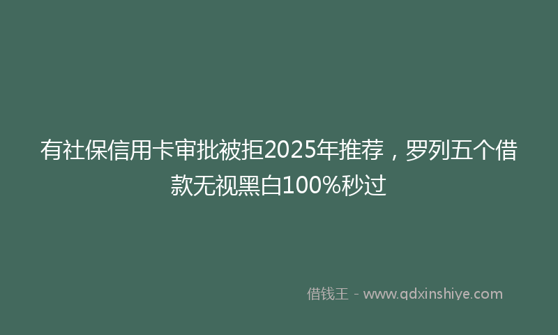 有社保信用卡审批被拒2025年推荐，罗列五个借款无视黑白100%秒过