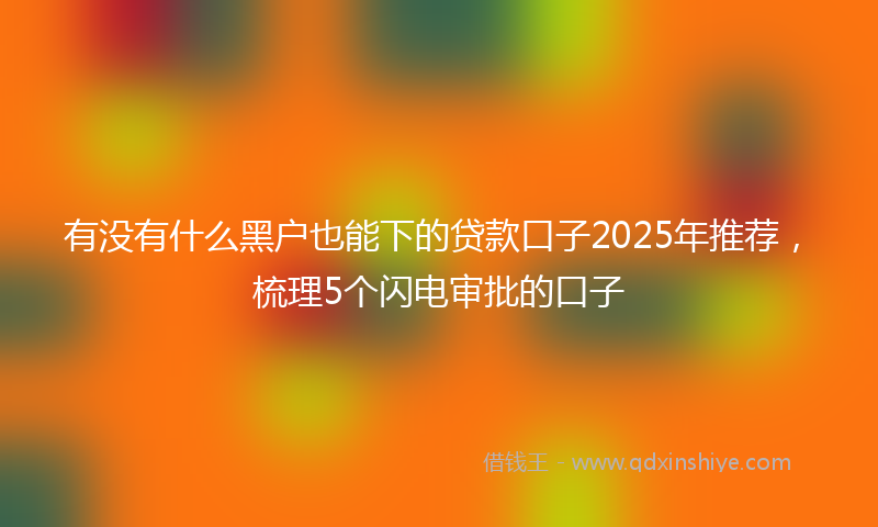 有没有什么黑户也能下的贷款口子2025年推荐，梳理5个闪电审批的口子