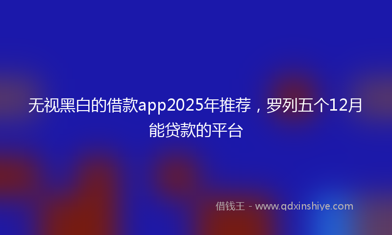 无视黑白的借款app2025年推荐，罗列五个12月能贷款的平台