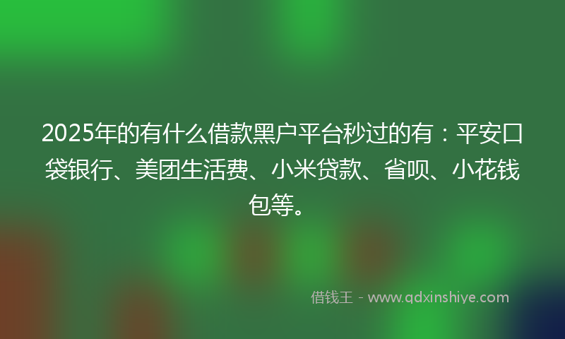 2025年的有什么借款黑户平台秒过的有：平安口袋银行、美团生活费、小米贷款、省呗、小花钱包等。