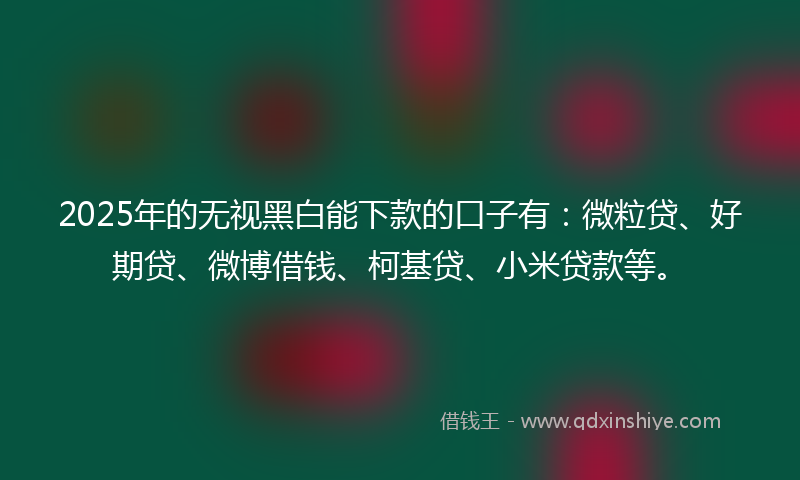2025年的无视黑白能下款的口子有：微粒贷、好期贷、微博借钱、柯基贷、小米贷款等。