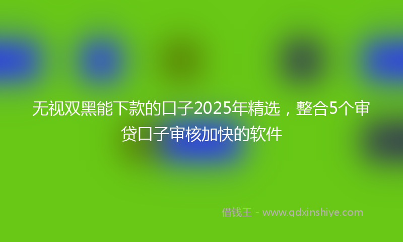 无视双黑能下款的口子2025年精选，整合5个审贷口子审核加快的软件