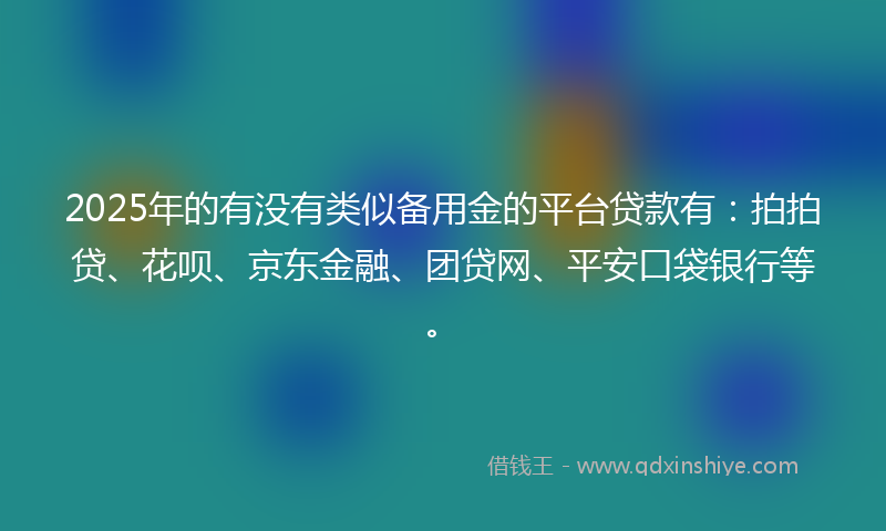 2025年的有没有类似备用金的平台贷款有：拍拍贷、花呗、京东金融、团贷网、平安口袋银行等。