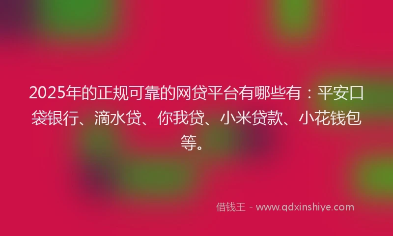 2025年的正规可靠的网贷平台有哪些有：平安口袋银行、滴水贷、你我贷、小米贷款、小花钱包等。