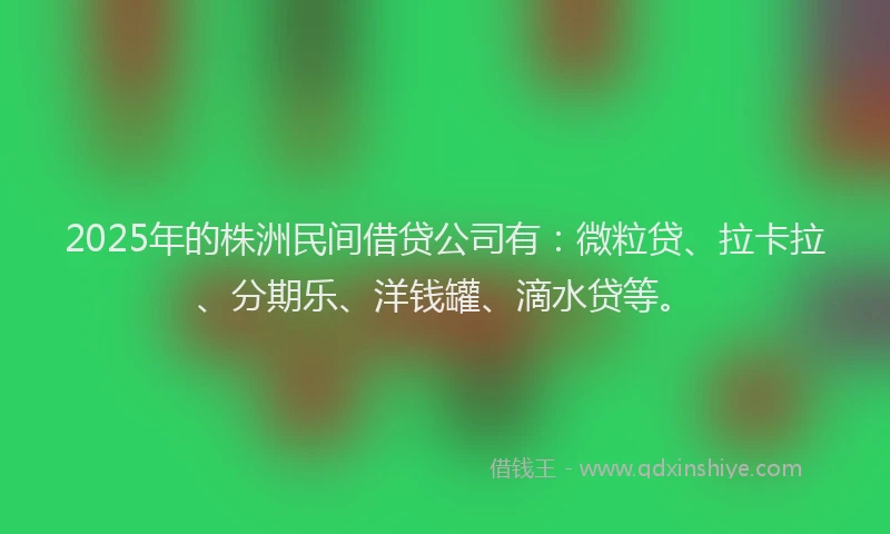 2025年的株洲民间借贷公司有：微粒贷、拉卡拉、分期乐、洋钱罐、滴水贷等。