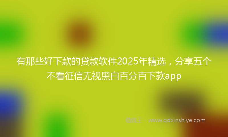 有那些好下款的贷款软件2025年精选，分享五个不看征信无视黑白百分百下款app