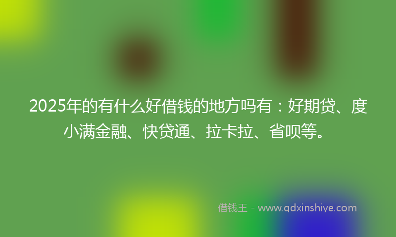 2025年的有什么好借钱的地方吗有：好期贷、度小满金融、快贷通、拉卡拉、省呗等。