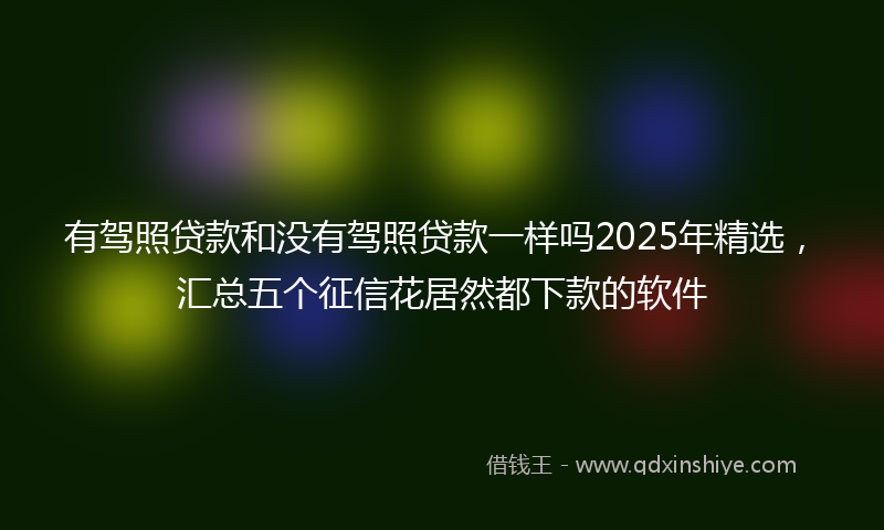 有驾照贷款和没有驾照贷款一样吗2025年精选，汇总五个征信花居然都下款的软件