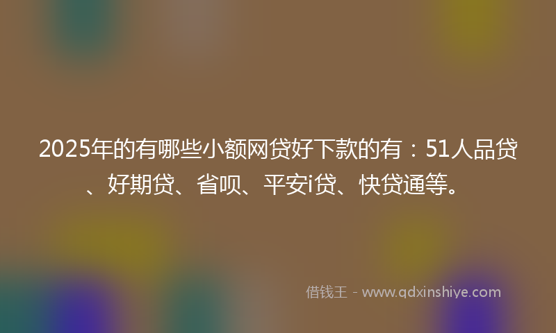 2025年的有哪些小额网贷好下款的有：51人品贷、好期贷、省呗、平安i贷、快贷通等。