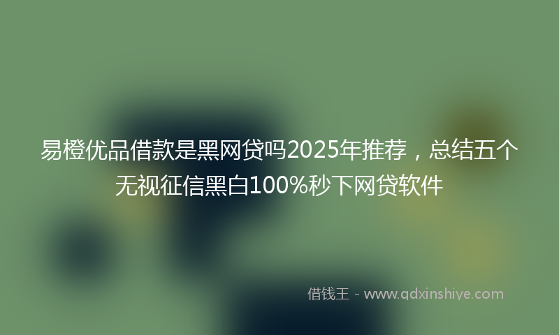 易橙优品借款是黑网贷吗2025年推荐，总结五个无视征信黑白100%秒下网贷软件