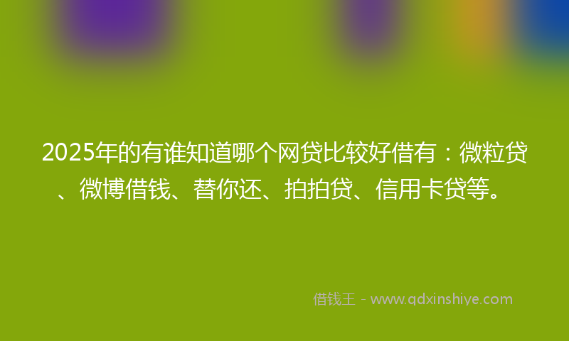 2025年的有谁知道哪个网贷比较好借有：微粒贷、微博借钱、替你还、拍拍贷、信用卡贷等。