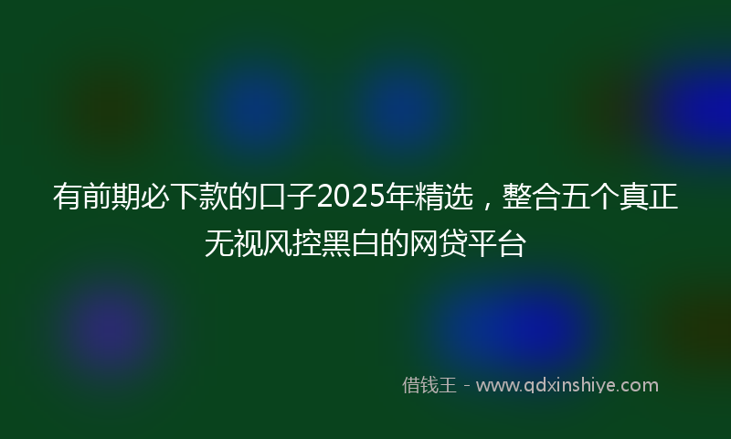 有前期必下款的口子2025年精选，整合五个真正无视风控黑白的网贷平台