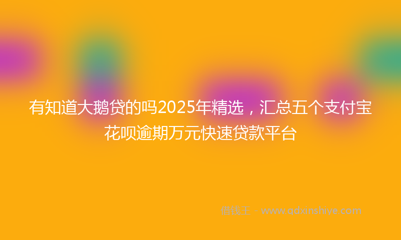 有知道大鹅贷的吗2025年精选，汇总五个支付宝花呗逾期万元快速贷款平台