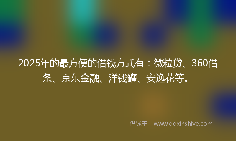 2025年的最方便的借钱方式有：微粒贷、360借条、京东金融、洋钱罐、安逸花等。