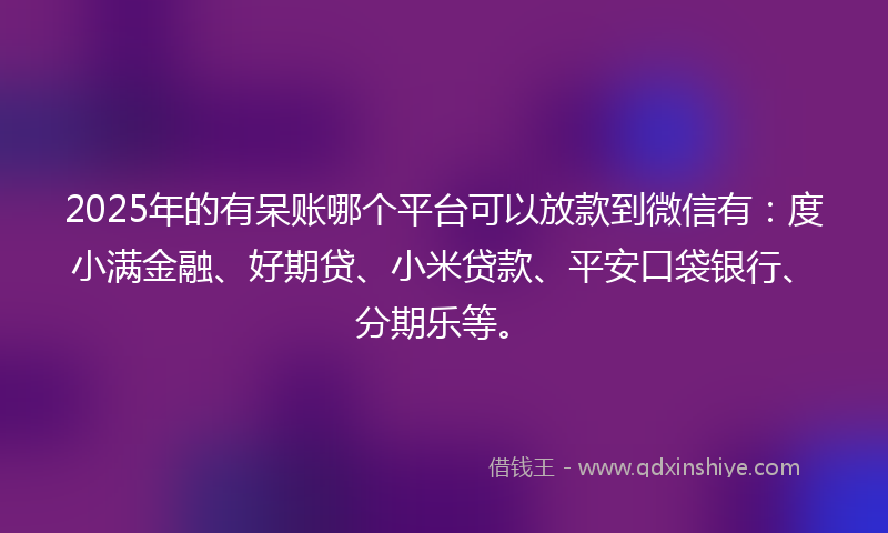 2025年的有呆账哪个平台可以放款到微信有：度小满金融、好期贷、小米贷款、平安口袋银行、分期乐等。