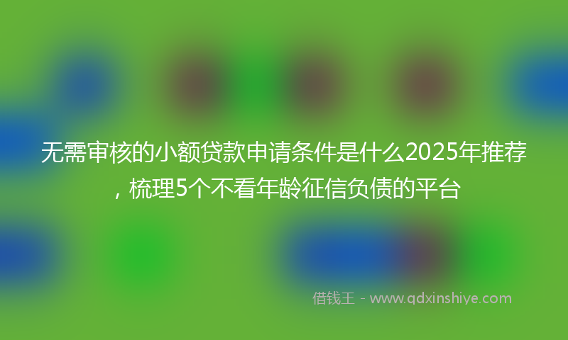 无需审核的小额贷款申请条件是什么2025年推荐，梳理5个不看年龄征信负债的平台