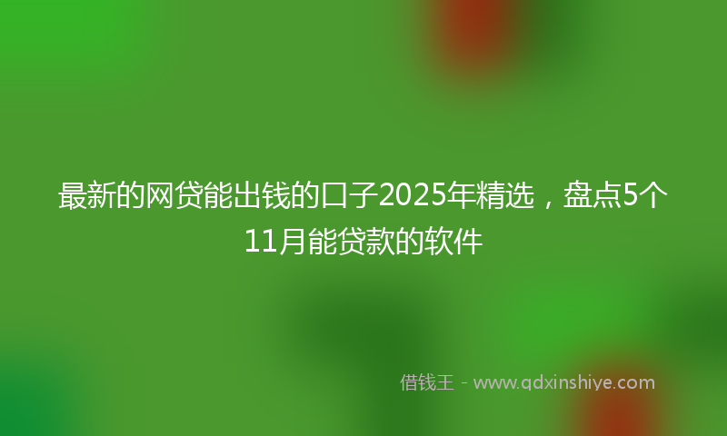 最新的网贷能出钱的口子2025年精选，盘点5个11月能贷款的软件