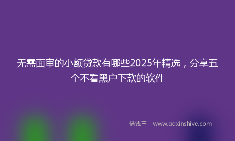 无需面审的小额贷款有哪些2025年精选，分享五个不看黑户下款的软件