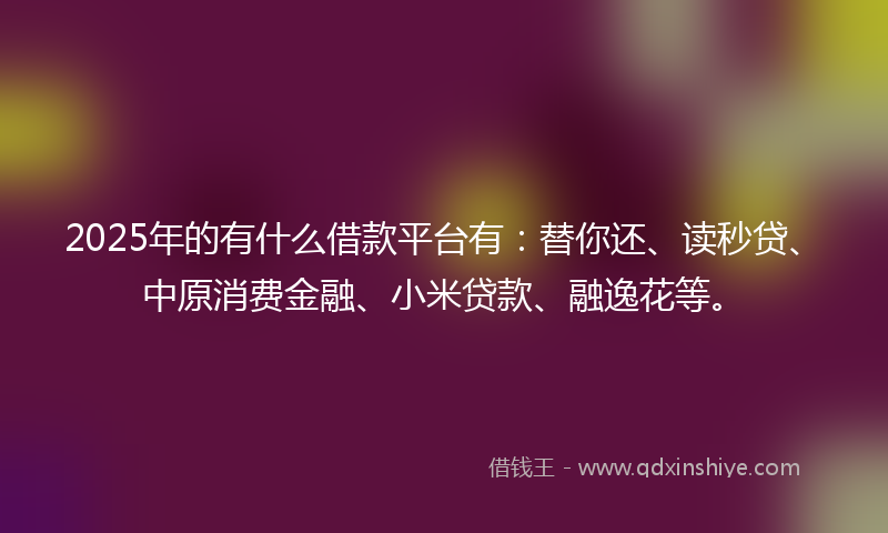 2025年的有什么借款平台有：替你还、读秒贷、中原消费金融、小米贷款、融逸花等。