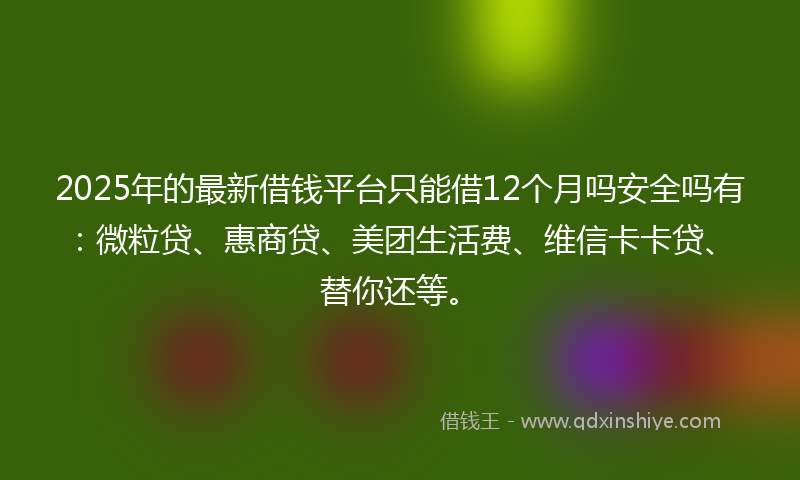 2025年的最新借钱平台只能借12个月吗安全吗有：微粒贷、惠商贷、美团生活费、维信卡卡贷、替你还等。