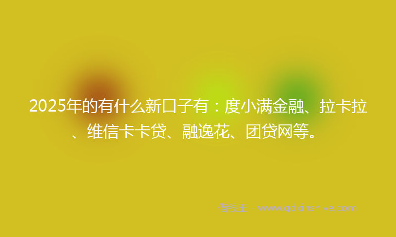 2025年的有什么新口子有：度小满金融、拉卡拉、维信卡卡贷、融逸花、团贷网等。