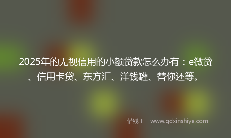 2025年的无视信用的小额贷款怎么办有：e微贷、信用卡贷、东方汇、洋钱罐、替你还等。