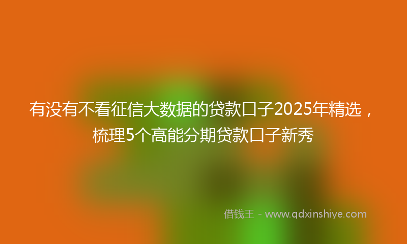 有没有不看征信大数据的贷款口子2025年精选，梳理5个高能分期贷款口子新秀