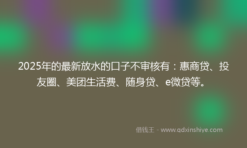 2025年的最新放水的口子不审核有：惠商贷、投友圈、美团生活费、随身贷、e微贷等。