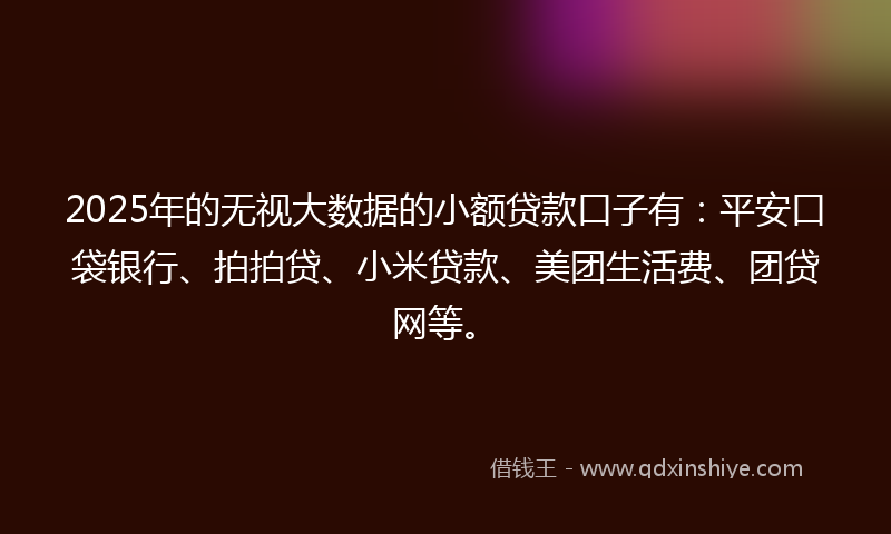 2025年的无视大数据的小额贷款口子有：平安口袋银行、拍拍贷、小米贷款、美团生活费、团贷网等。