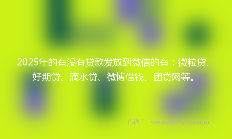 2025年的有没有贷款发放到微信的有：微粒贷、好期贷、滴水贷、微博借钱、团贷网等。