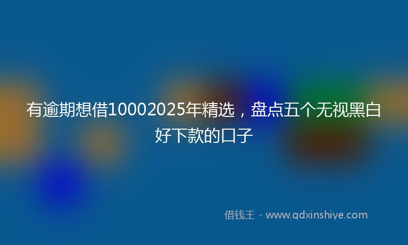 有逾期想借10002025年精选，盘点五个无视黑白好下款的口子