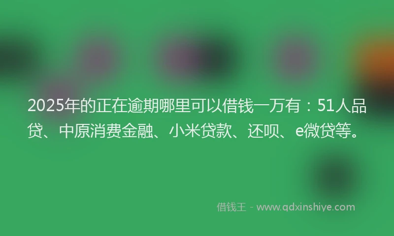 2025年的正在逾期哪里可以借钱一万有：51人品贷、中原消费金融、小米贷款、还呗、e微贷等。
