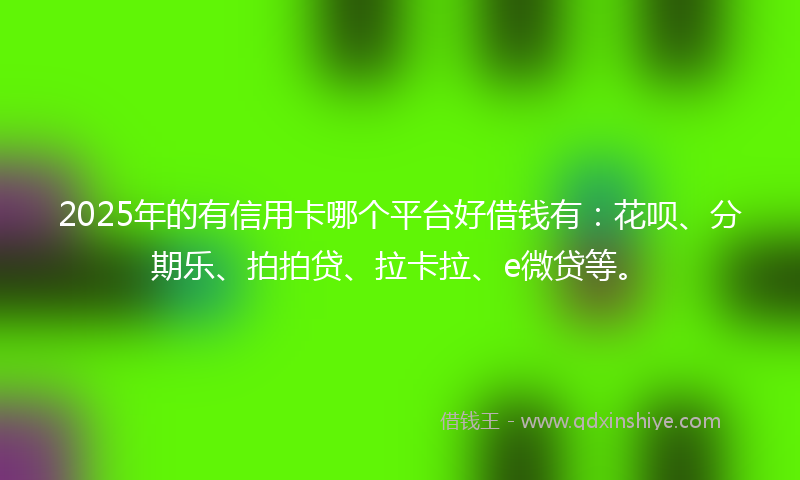 2025年的有信用卡哪个平台好借钱有：花呗、分期乐、拍拍贷、拉卡拉、e微贷等。