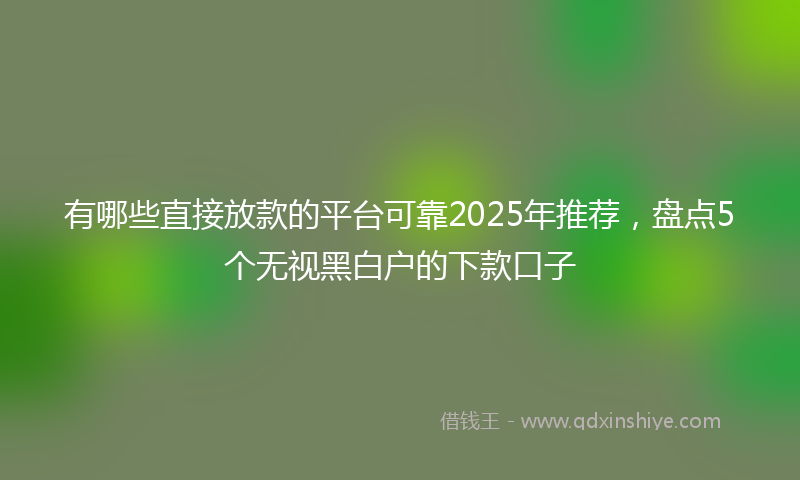 有哪些直接放款的平台可靠2025年推荐，盘点5个无视黑白户的下款口子