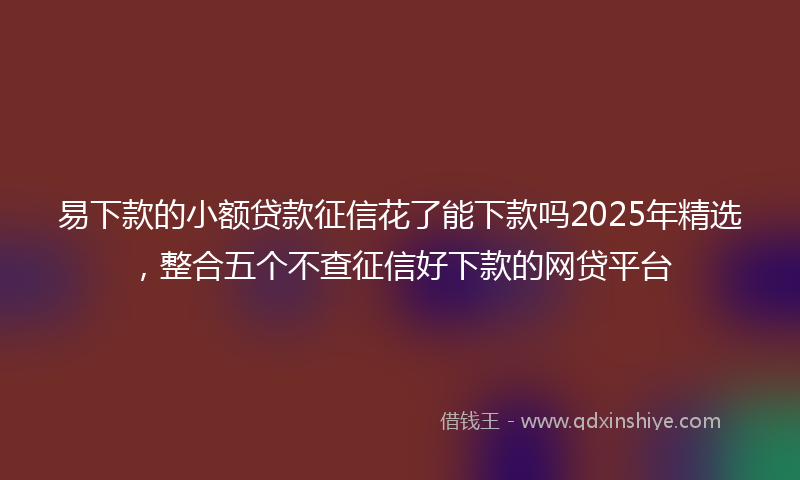 易下款的小额贷款征信花了能下款吗2025年精选，整合五个不查征信好下款的网贷平台