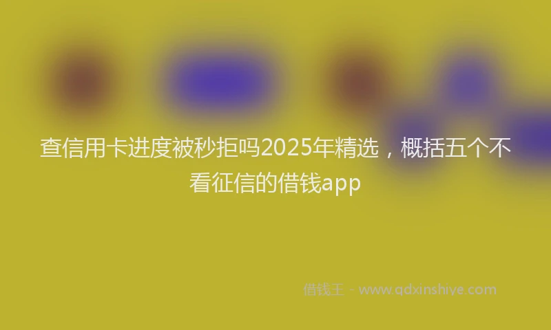 查信用卡进度被秒拒吗2025年精选，概括五个不看征信的借钱app