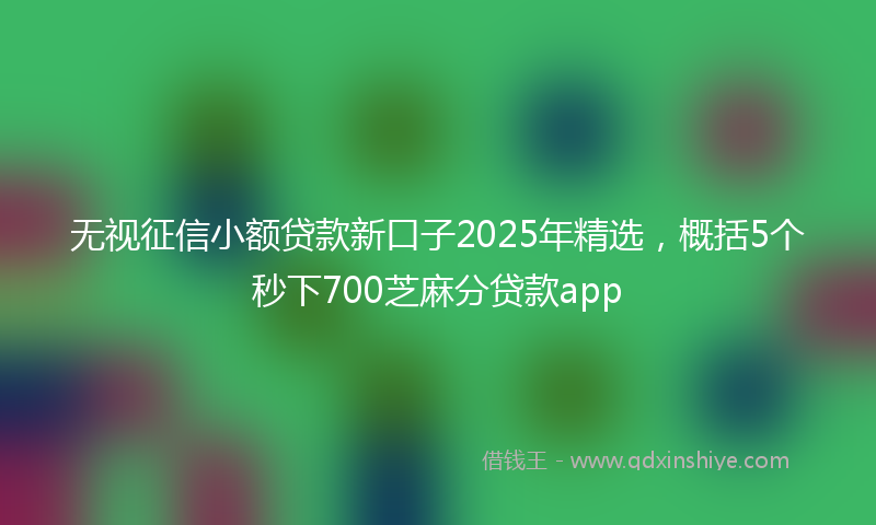 无视征信小额贷款新口子2025年精选，概括5个秒下700芝麻分贷款app