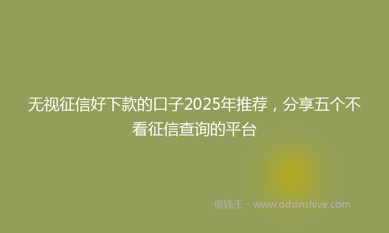 无视征信好下款的口子2025年推荐，分享五个不看征信查询的平台